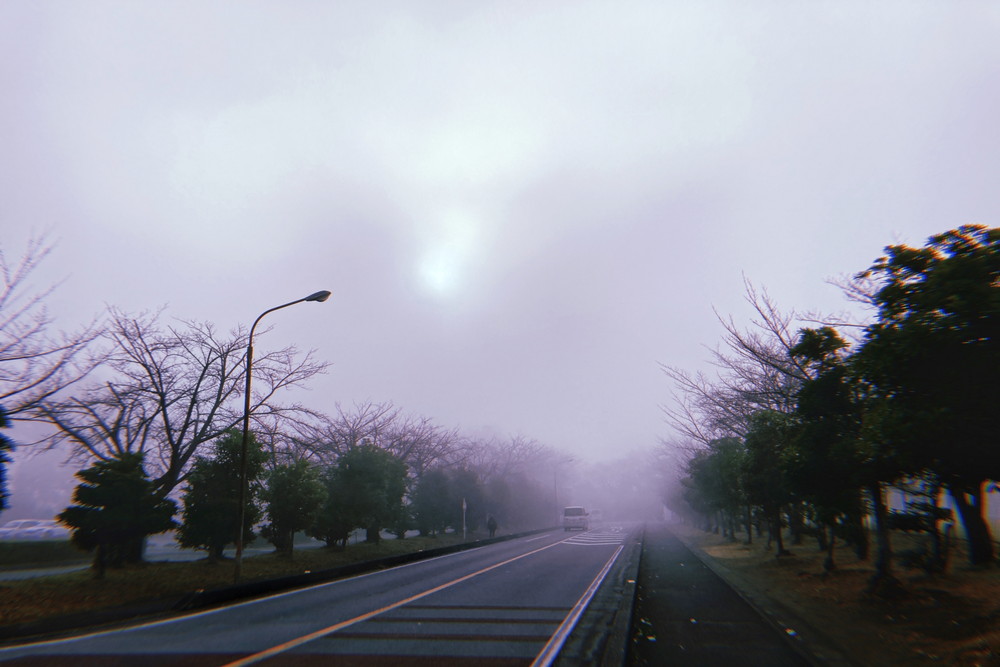 霧の立ち込める道