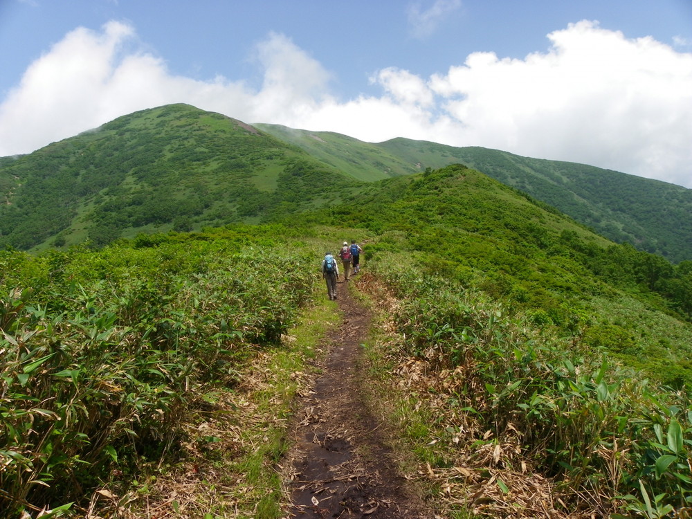 登山道の写真